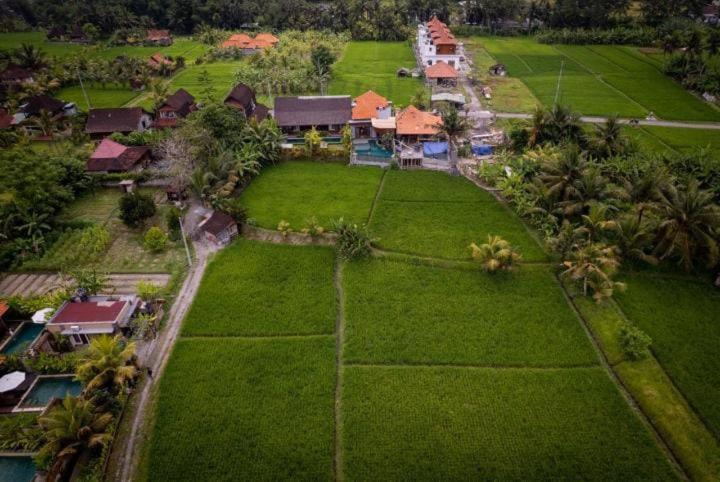 Uma Jala * Ubud